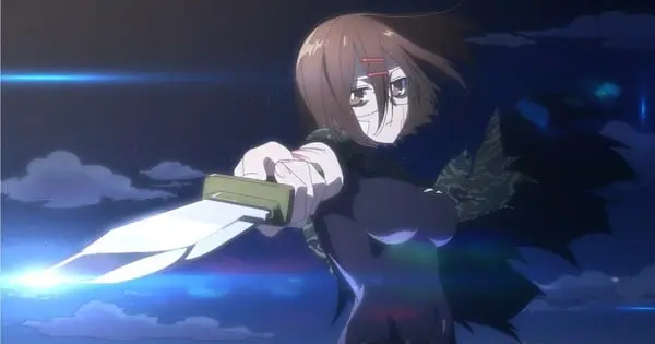 assassinninja12
