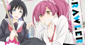 from bullied to brawler