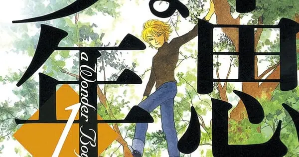 wonder boy cnf