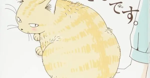 catbuttstempjpn